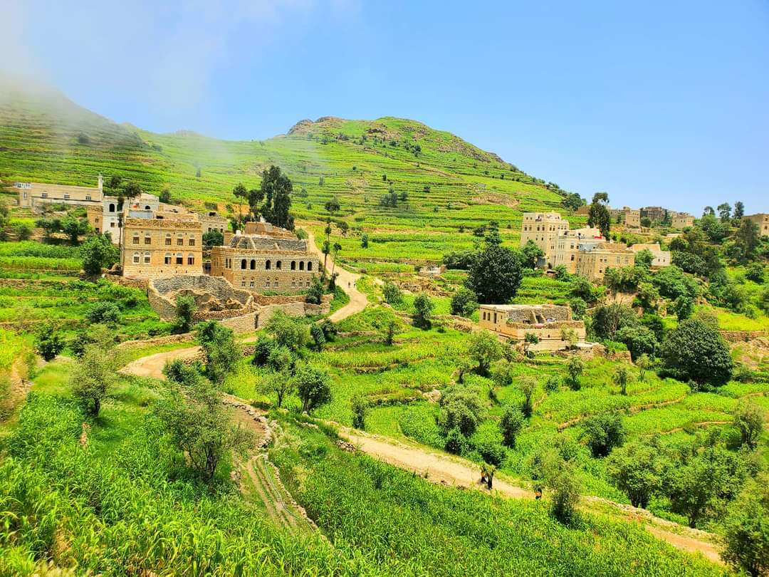 Café colombien torréfaction moyenne